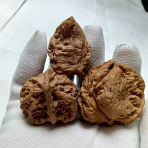 Tripletas de Bisonte Premium, um Colecionável Exótico. - Product Image 6