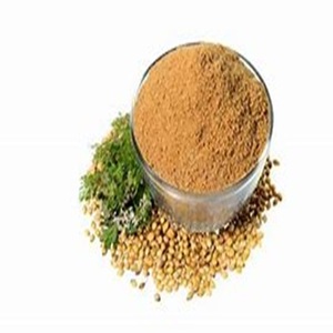 Venta caliente de semillas de cilantro para usos multiusos a precio barato - Product Image 4