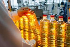 Huile de jatropha brute pure pour les énergies renouvelables et les biocarburants - Product Image 4