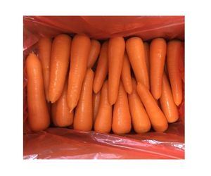 Zanahorias frescas de alta calidad Nuevo Origen de cosecha de Vietnam Embalado en cajas de cartón Listo para exportar Pago y envío flexibles - Product Image 3
