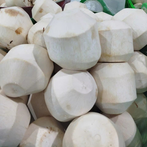 Noix de coco jeunes et fraîches de Ben Tre, Vietnam - Durée de conservation de 60 jours - Product Image 1