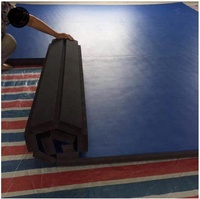 Tapis de Jiu-Jitsu BJJ en XPE, imperméable, portable, flexible, pour la gym, le grappling, le judo et la lutte