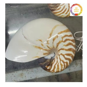 Concha Nautilus Natural de Vietnam | Concha marina en espiral hecha a mano para diseño de interiores de estilo oceánico - Product Image 5