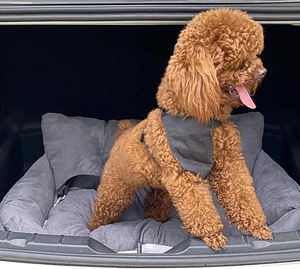 Asiento Elevador para Perros, Cama para Perros, Asiento Elevador Portátil para Perros, Sofá para Mascotas, Transportín para Perros Pequeños, Cachorros, Gatos y Gatitos para Viajes - Product Image 2