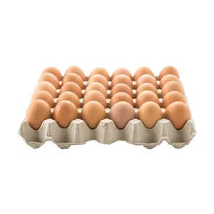 Huevos de gallina para asar/Huevos de mesa redonda a la venta/huevos fértiles para incubar
