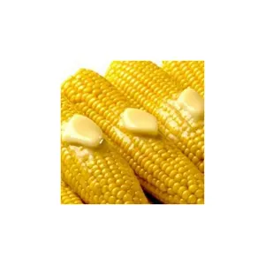 IQF jumlah besar makanan kemasan penyimpanan gaya atas biji jagung kuning manis beku makanan dewasa