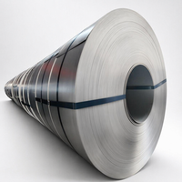 Bobina de Acero con Aleación de Zinc, Magnesio y Aluminio Grado EN 10346 DX51D ZM, ZM150 para Soporte de Montaje en Suelo para Seguidores Solares