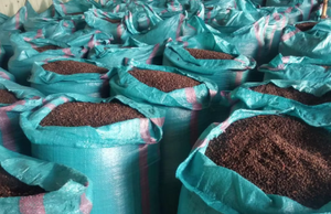 Pimienta Negra 100% Natural de Alta Calidad, Grado A, 24 Meses de Vida Útil, Almacenamiento en Frío, Proveedor de Sudáfrica, Precio Competitivo - Product Image 2