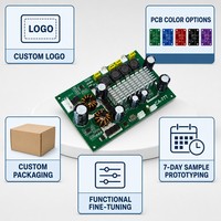 Carte d'amplificateur de puissance stéréo numérique de classe D 2x100W 12-24V pour système audio domestique, vente en gros, fabricant OEM, assemblage de haut-parleurs