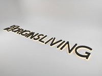 Letras de Canal LED de Instalación Impecable, Control Remoto, Impermeables IP65, Letrero Luminoso, Iluminación Publicitaria, Color Personalizado