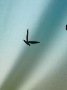 Camiseta sin Mangas para Hombre Sublimada, Transpirable, Ligera, en Oferta, Totalmente Personalizable - Product Image 5