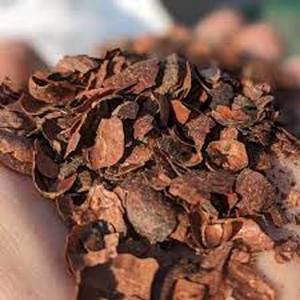 Cocoa Bean Husk de fournisseur de qualité à vendre à des prix bon marché - Product Image 2