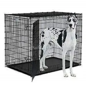 Dog Cage Powder Coated Black Color Metal Folding Kennel for Large Size Dogs Crate and Adults 36 Inch