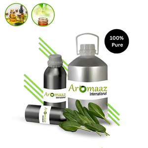 Aceite Esencial de Costmary Aromaaz International - Alivio del Dolor y Revitalizador de la Piel, Proveedor al por Mayor a Bajo Precio - Product Image 5