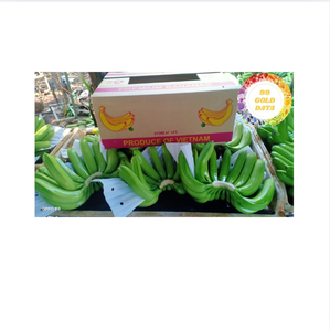 Banane fraîche de qualité supérieure fruits tropicaux Vietnam cultivés adaptés à la cuisine smoothies dessert et ventes internationales - Product Image 1