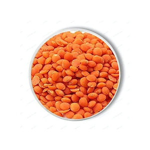 Lentilles rouges de qualité supérieure en vrac, chaîne d'exportation fiable - Product Image 5