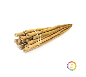 Poteaux de bambou droits de haute qualité pour la construction, la décoration de la maison ou la culture Couleur bambou jaune fabriqué au Vietnam - Product Image 1