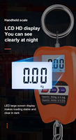 Balance numérique portable Ace Mini 200 kg avec écran LCD, modèle P-200, construction en plastique durable, utilisation facile, conception de boîte avec logo personnalisé, garantie 1 an