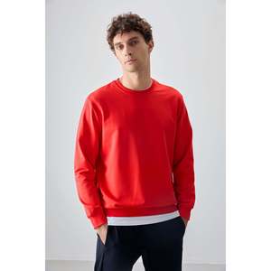 Sudadera Básica para Hombre, Fiesta, Algodón, Textura Suave, Corte Estándar, Estilo Casual para Otoño, Tejido de Punto-88363 - Product Image 6