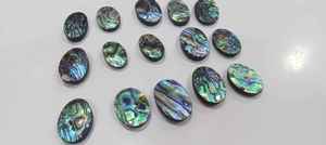 Tự nhiên bào ngư <span class=keywords><strong>paua</strong></span> <span class=keywords><strong>Shell</strong></span> Cabochon hỗn hợp hình dạng đá quý handmade trang sức bán buôn rất nhiều - Product Image 3