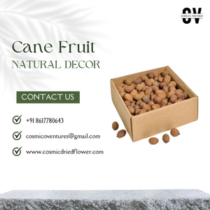 Flores Secas Cósmicas de Buena Calidad, Ramo de Flores Secas Naturales para el Día de la Madre, Decoración de Bodas - Product Image 2