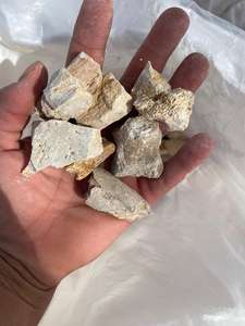 Cendres d'os fossile de Mamal, os de Dragone du Maroc - Additifs chimiques de qualité industrielle - Product Image 2