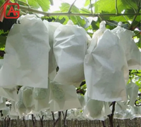 Hot Selling Pp Non-Woven Stof Fruit Kweek Hoes Fruitteelt Bescherming Niet-Geweven Zak