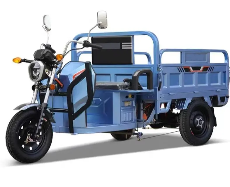 Triciclo de carga Triciclo eléctrico 3 Wheeler Bicicleta de 3 ruedas con motor de 1000W y cama de carga