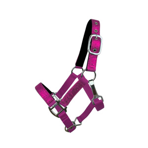 OEM néoprène doublé Nylon cheval licou réglable formation collier confortable Durable licou vente en gros en vrac équestre Tack - Product Image 4