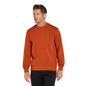 Sweat-shirt en molleton français uni personnalisé, col rond, coupe régulière, hiver, devant écologique, 100% coton, 300g, épaules tombantes, luxe, homme - Product Image 1