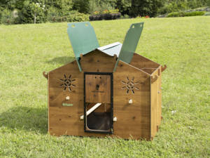 Gallinero Cucciolotta Polly Farm 2XL Cuadrado, Sólido, Hecho en Italia, Laminado HPL de Alta Calidad, Resistente para Exteriores - Product Image 2