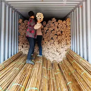 En çok satan sopa düz bambu bahçe tesisi için özelleştirilmiş uzunluk bambu stakes Vietnam Anna