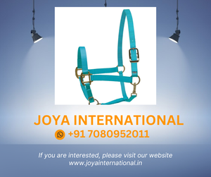 Nylon Turquoise Super licou portable intelligent - Product Image 2