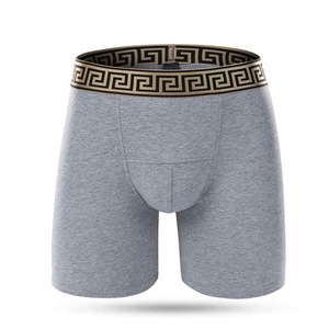 Logo coton respirant hommes Boxer Shorts marque de mode hommes sous-vêtements doux confortable coupe hommes coton boxeurs pour un usage quotidien - Product Image 2