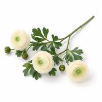 Ranunculus Sutra Buatan 3 Kuntum Realistis Grosir dengan Tangkai Panjang untuk Dekorasi Vas Rumah dan Pernikahan