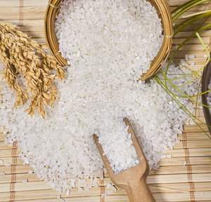 Fournisseur direct d'usine, prix très bas, riz de Belgique, vente en gros bon marché, riz basmati frais 100% pur, prix réduits - Product Image 1