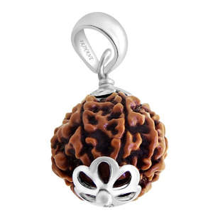 Colgante de Plata 925 con Rudraksha de 6 Mukhi de Nepal - Regalo para el Hinduísmo - Amuleto Chapado en Oro - Patrón de Llave - Product Image 4