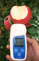 Groothandelsprijs Appels Fruit Zoet Vers Rode Fuji Appel Groothandel Verse Shandong Nieuwe Oogst Sappige Appel Uit China