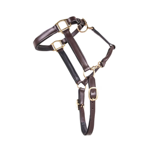 Licol pour cheval en cuir de haute qualité avec laisse et ferrures en laiton, marron - Vente chaude - Product Image 3