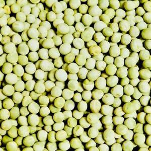 Petits pois verts séchés biologiques en vrac à vendre - Product Image 5