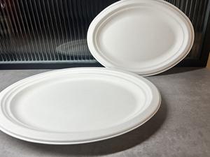 Platos de papel cuadrados biodegradables de 10 "Bandejas de comida ecológicas para fiestas y campamentos con patrón floral - Product Image 5