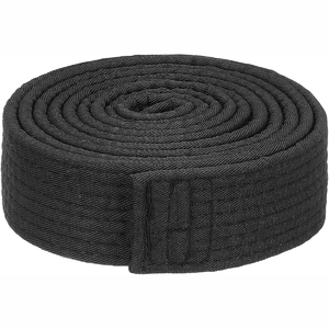 Nouveau 2025 vente en gros de qualité professionnelle personnalisé imprimé ceinture de karaté pas cher prix nouveau Type équipement d'arts martiaux - Product Image 6