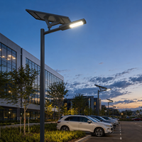 Kit complet de lampadaire solaire 50W avec batterie lithium LiFePo4 externe sous panneau solaire Chine