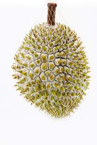 PRIX DE GROS CONGELÉ DURIAN ORIGINE VIETNAM - Product Image 6