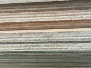 Contrachapado de abedul de grado CC al mejor precio, superventas, contrachapado reutilizable de alta resistencia de fábrica de Vietnam - Product Image 6