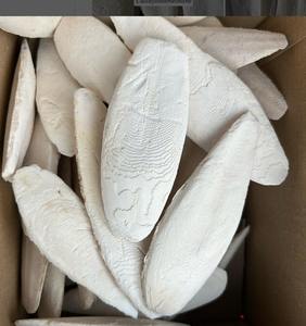 Venta caliente de hueso de sepia de Vietnam, hueso de sepia seco para sus productos para mascotas para exportar con grandes cantidades - Product Image 1