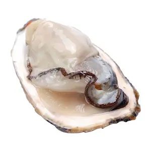 High Quality Breaded Fish Shellfish Shop Fresh Frozen Seafood Snacks Import Export Trade Mussel