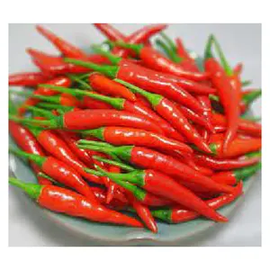 Dried chili products, whole red spicy chili dried, dried chili low price from VietNam