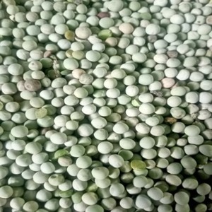 Fournisseur direct usine de remplacement de repas en gros : Légumes FD commerciaux, pois lyophilisés cuits, qualité alimentaire pour la pâtisserie, à vendre - Product Image 1