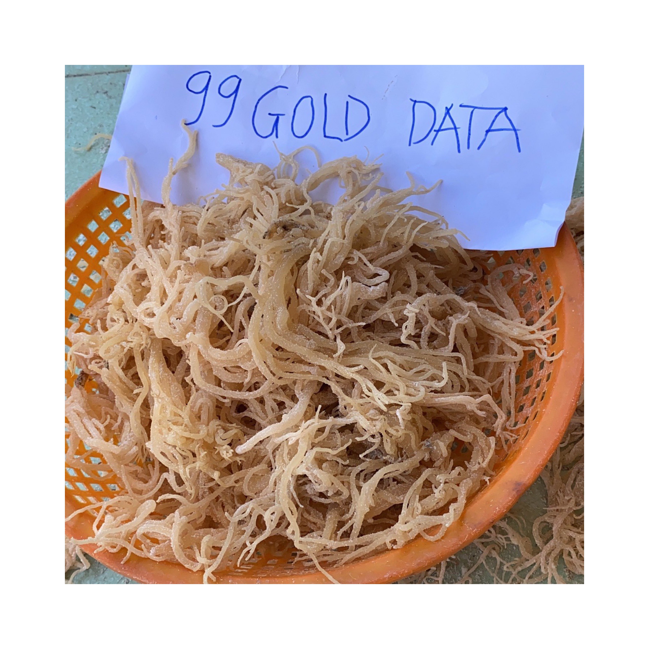 Натуральный коричневый морской мох, мох из Ямайки, ирландский морской мох, гель для производства каррагинана, чистый Вьетнам, оптовый поставщик